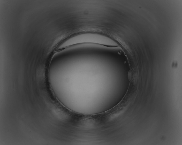 X0000091530207200708311318