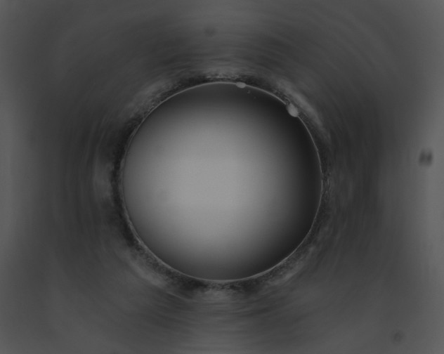 X0000091530209200708311318