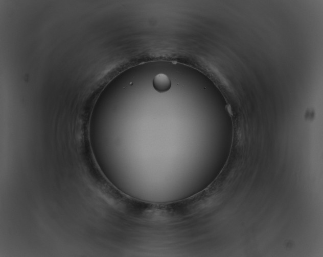 X0000091530211200708311318