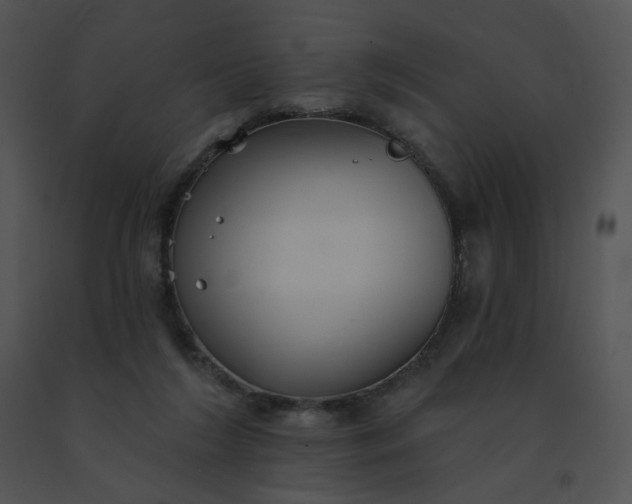 X0000091530212200708311318