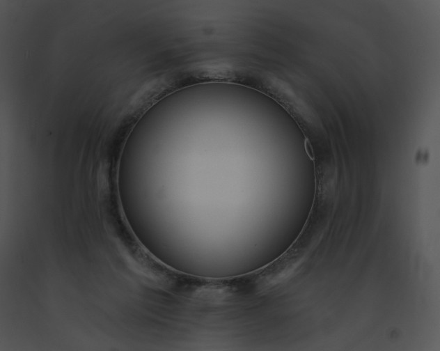 X0000091530213200708311318