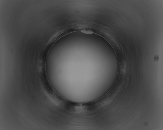 X0000091530216200708311318