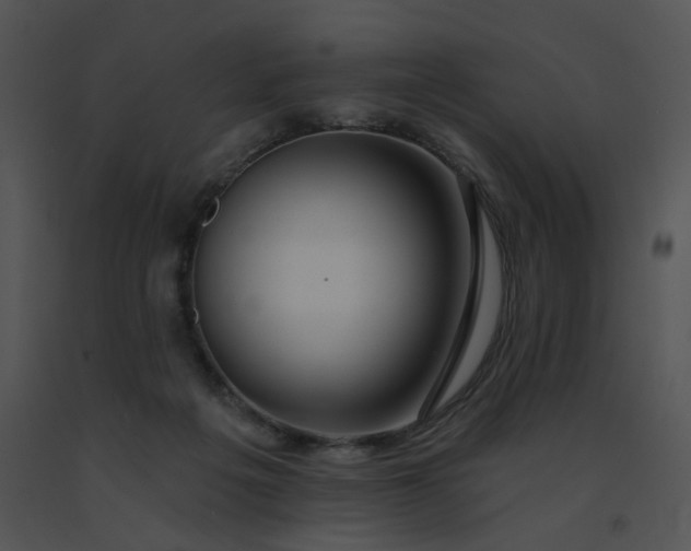 X0000091530217200708311317