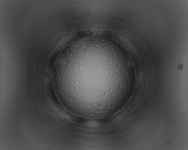X0000091530218200708311317