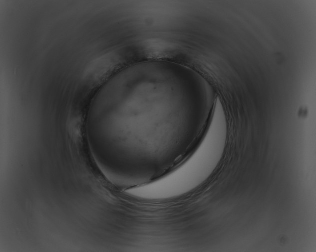 X0000091530219200708311317