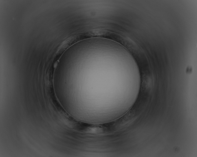 X0000091530220200708311317