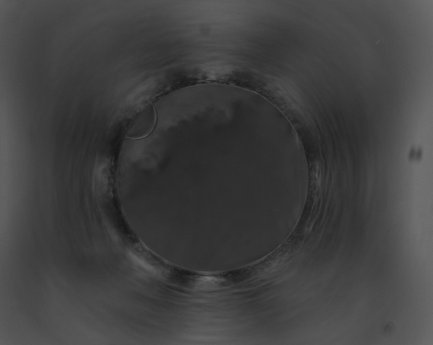 X0000091530222200708311317