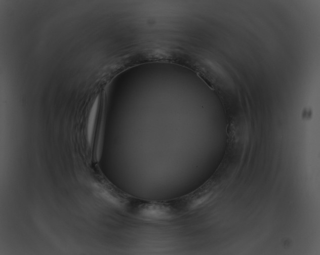 X0000091530223200708311317