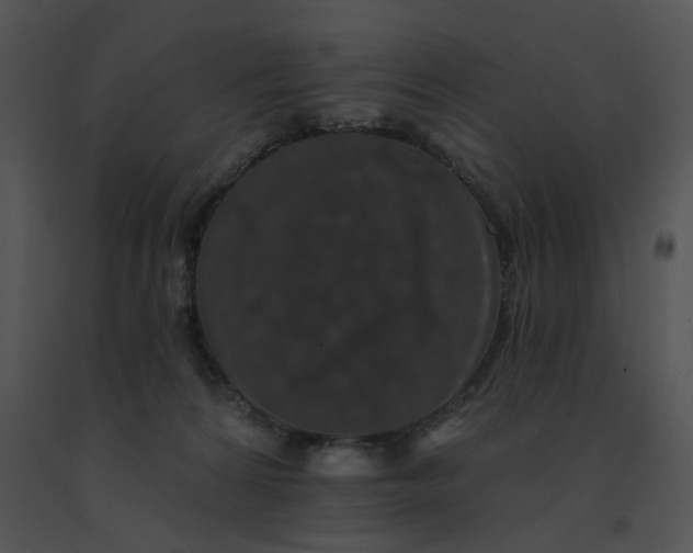 X0000091530224200708311317