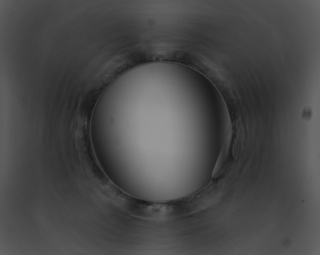 X0000091530225200708311317