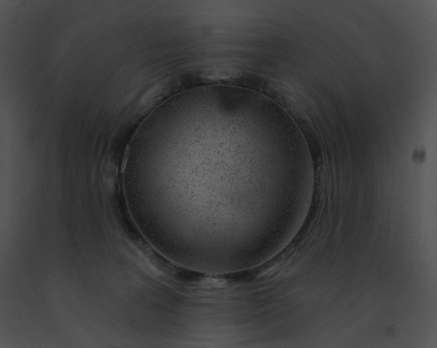 X0000091530227200708311317