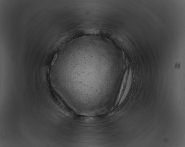 X0000091530229200708311317