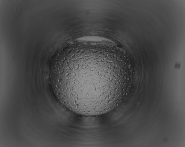 X0000091530230200708311317