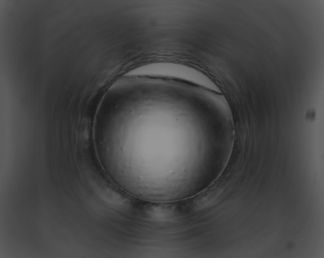 X0000091530232200708311317