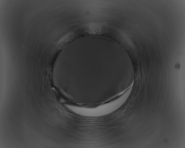 X0000091530233200708311317
