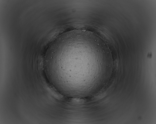 X0000091530234200708311317