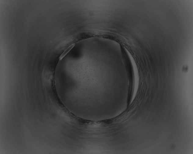 X0000091530235200708311317