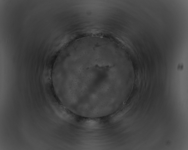 X0000091530236200708311317