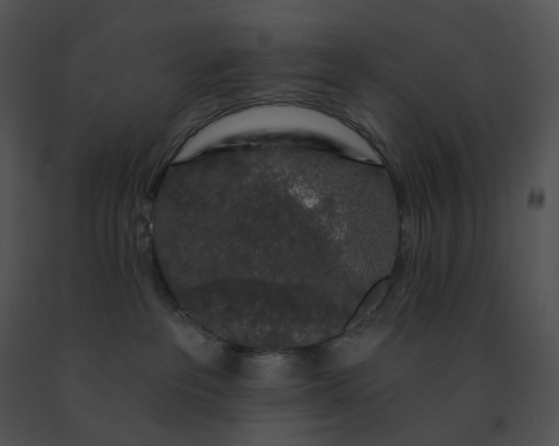X0000091530237200708311317