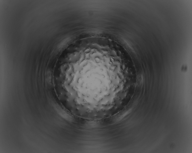 X0000091530238200708311317