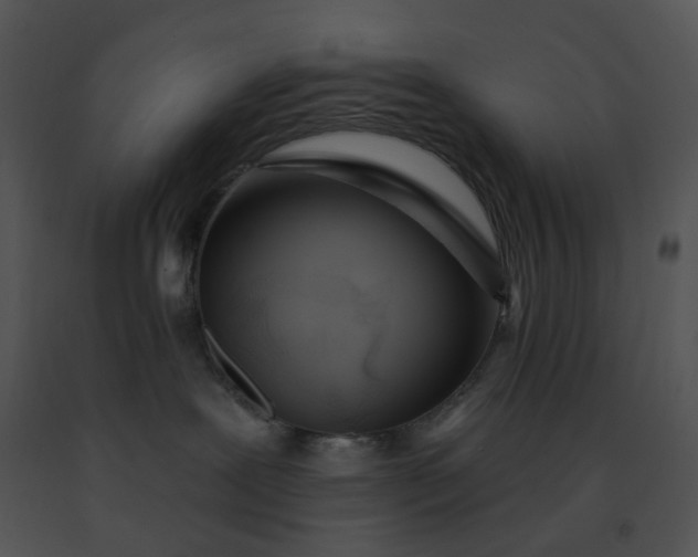 X0000091530239200708311317