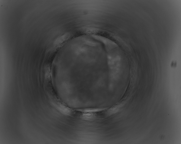 X0000091530240200708311317