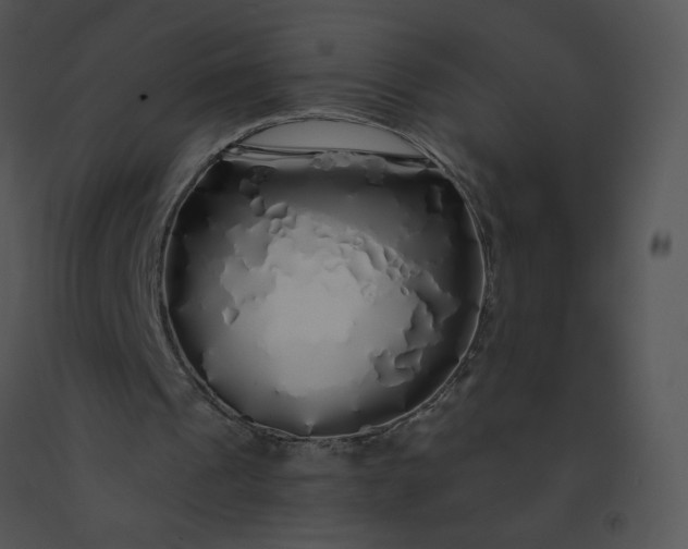 X0000091530241200708311316