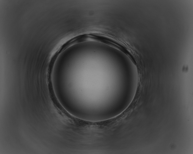 X0000091530244200708311316