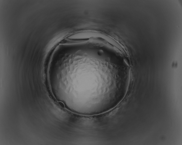 X0000091530245200708311316