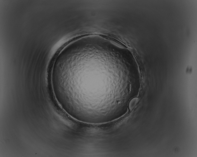 X0000091530246200708311317