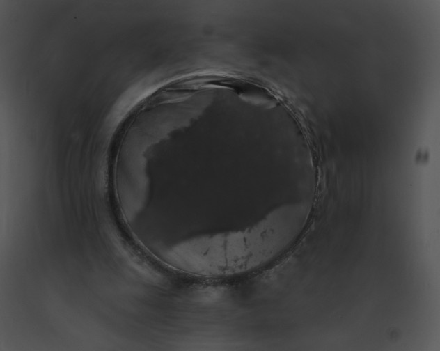 X0000091530247200708311317