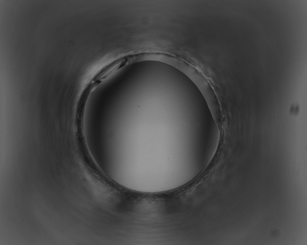 X0000091530248200708311317