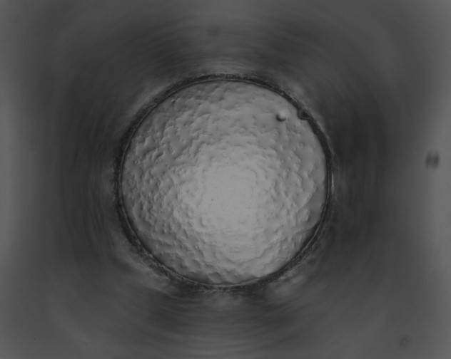 X0000091530249200708311317