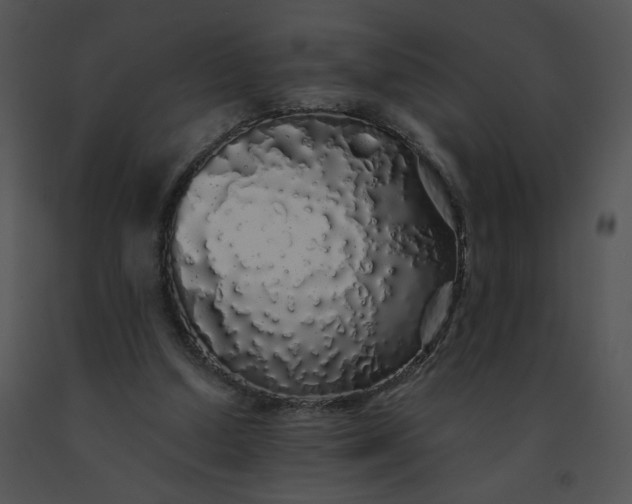 X0000091530250200708311317