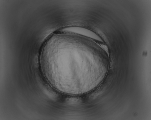 X0000091530251200708311317
