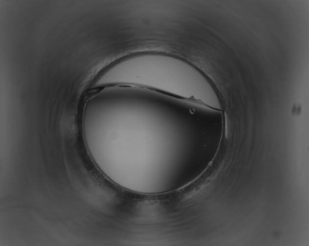 X0000091530252200708311317