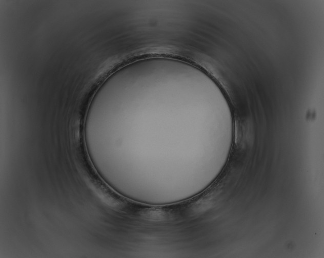 X0000091530253200708311317