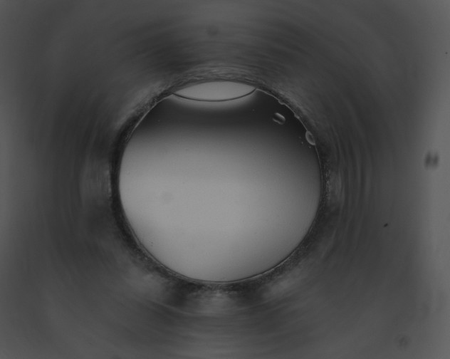 X0000091530254200708311317