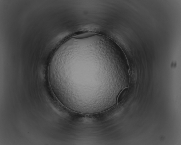 X0000091530255200708311317
