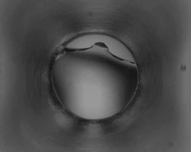 X0000091530256200708311317