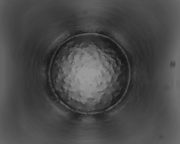 X0000091530258200708311317