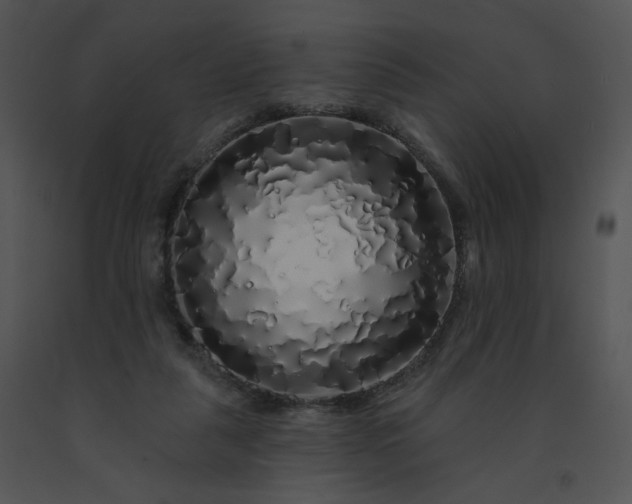 X0000091530259200708311317