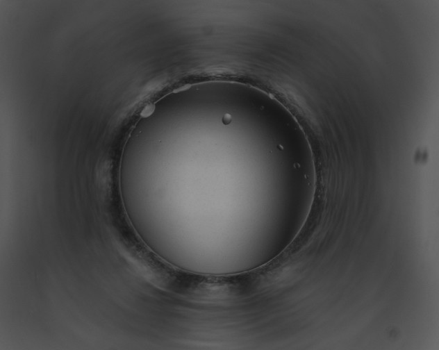 X0000091530260200708311317