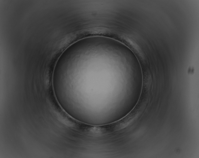 X0000091530261200708311317