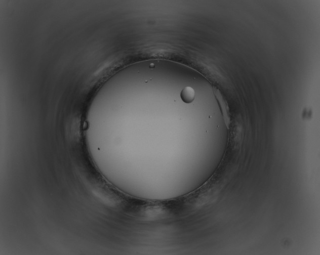 X0000091530262200708311317
