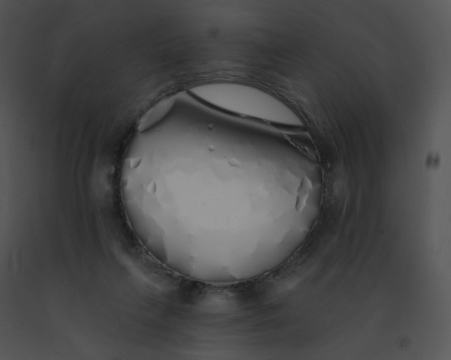 X0000091530263200708311317