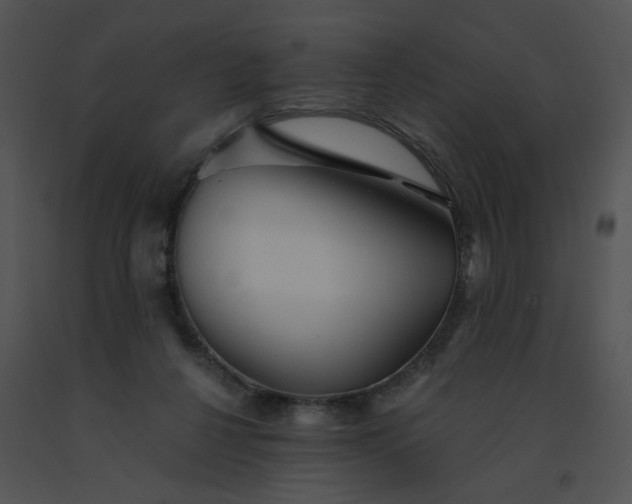X0000091530264200708311317