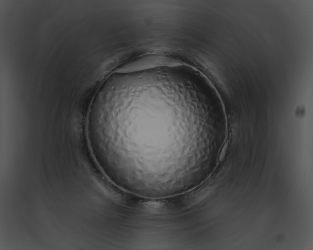 X0000091530265200708311317