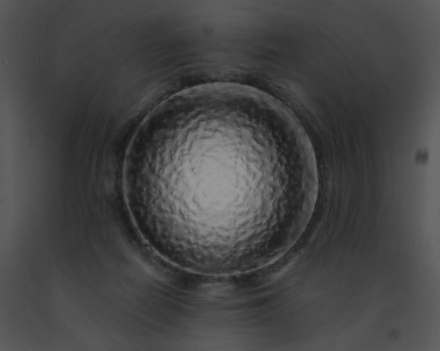 X0000091530266200708311317