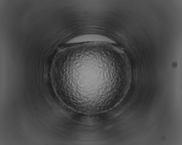 X0000091530267200708311317